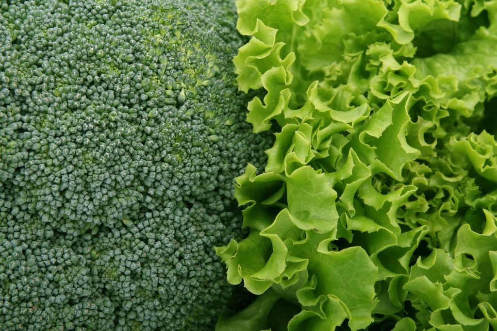 What Has Folate in It? (Ingredients, Flavor & Kitchen Uses) - Mama ...