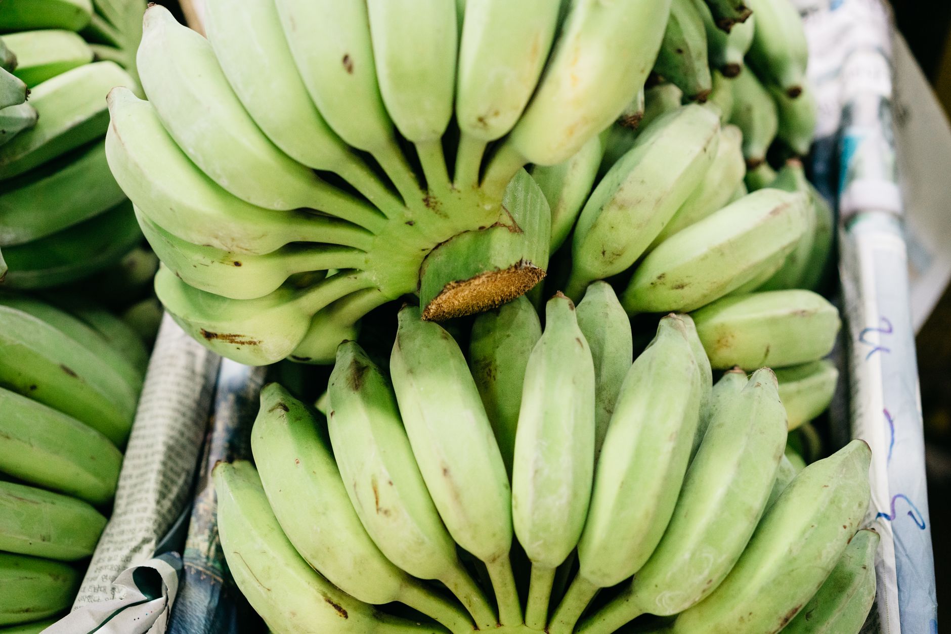 Petizers Can You Eat Plantain Raw? (Food Safety, Prep & Serving Tips) - Mama ...