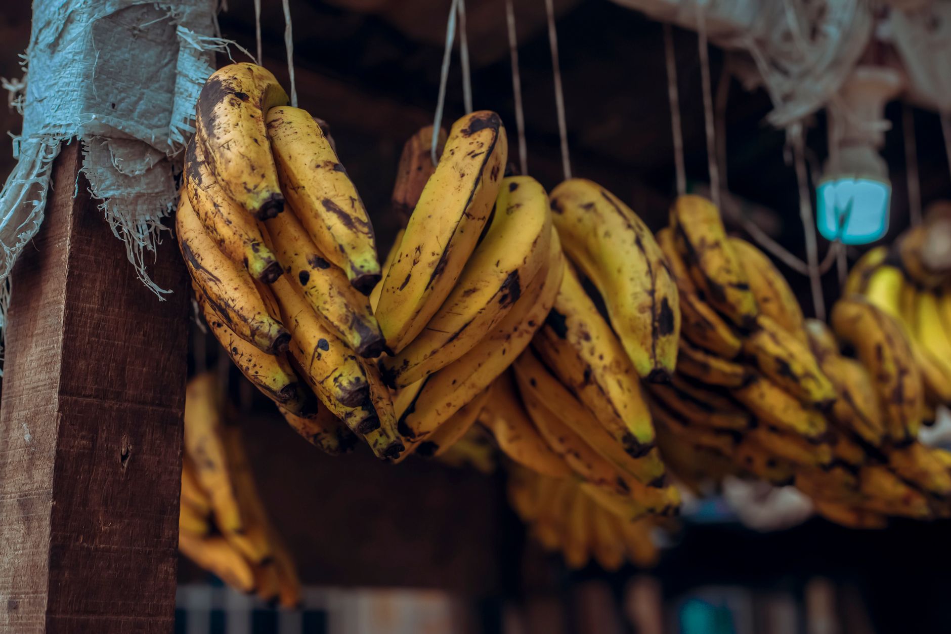 What Foods Are a Good Source of Potassium? (Per Serving) - Mama Secret ...